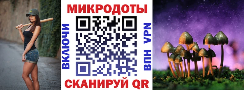 даркнет сайт  Александровское  Псилоцибиновые грибы MAGIC MUSHROOMS 